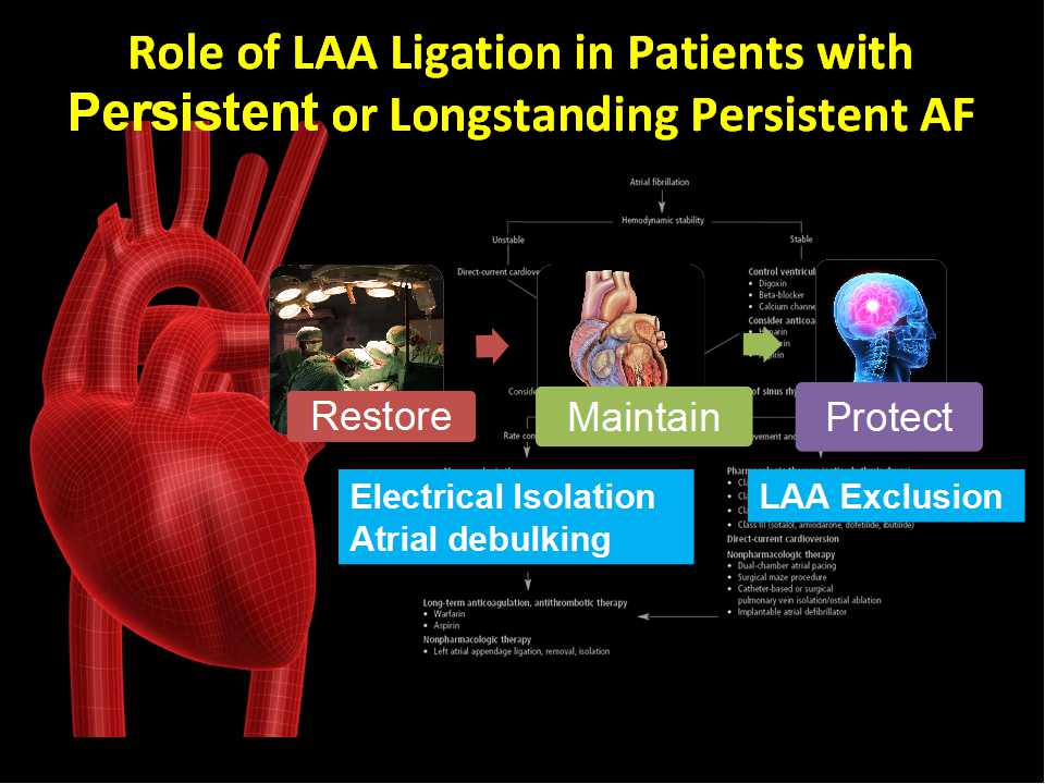 appendage,junco left atrial appendage closure using the lariat suture delivery