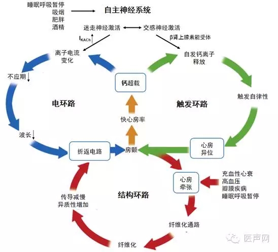 自主神经异常与心房颤动