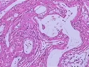 Science公布2015年十大科学突破：基因剪刀居首