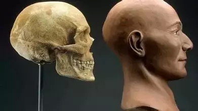 Science公布2015年十大科学突破：基因剪刀居首