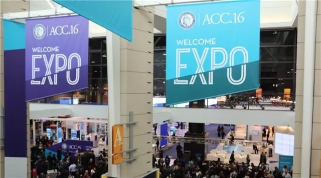 刘巍:ACC 2016带给我们的遗憾和思索