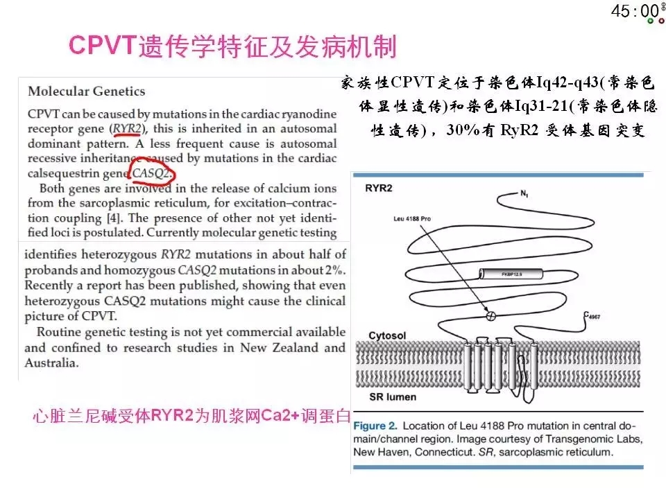 舒茂琴:抗心律失常药物临床应用——老药新用