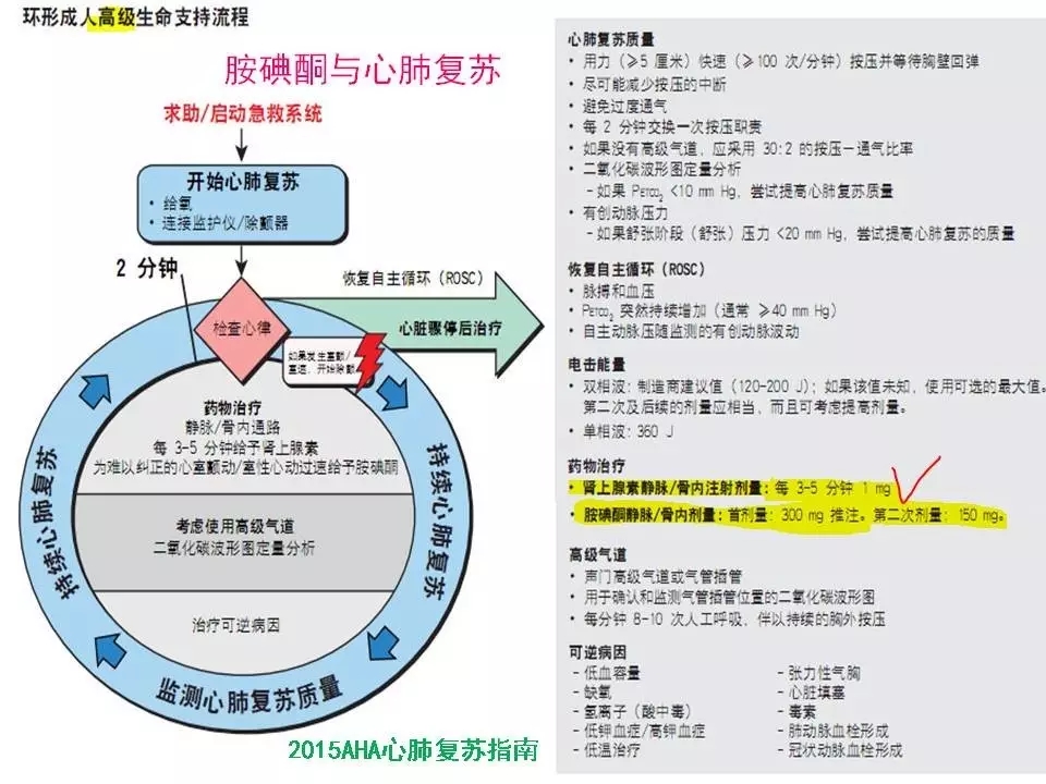 舒茂琴:抗心律失常药物临床应用——老药新用