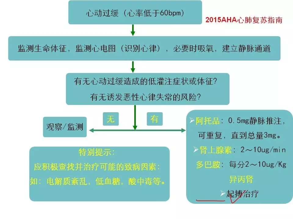 舒茂琴:抗心律失常药物临床应用——老药新用