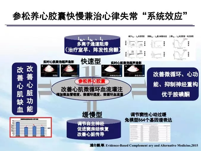 吴以岭：整合调节-室性心律失常治疗新策略