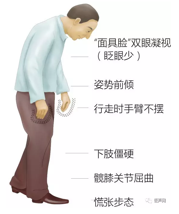 “拥抱郁金香”系列健康行动正式启动