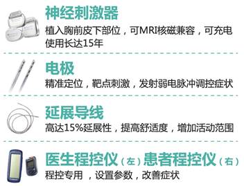 “拥抱郁金香”系列健康行动正式启动