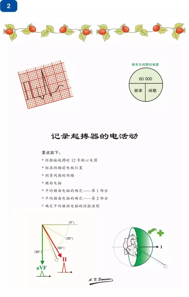 好书推荐|《心脏起搏器及再同步化(CRT)图解阶梯教程》