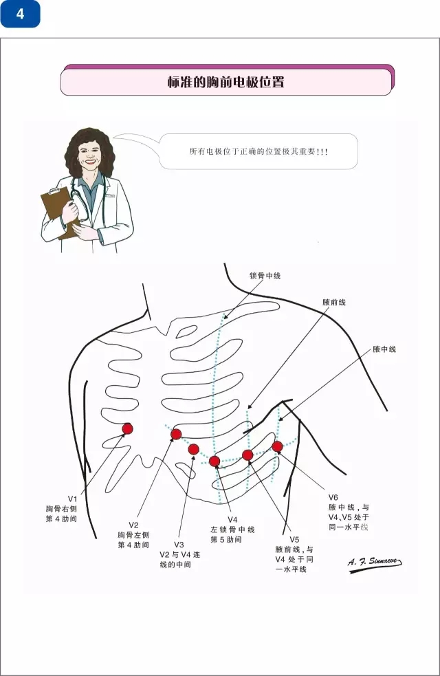 好书推荐|《心脏起搏器及再同步化(crt)图解阶梯教程》