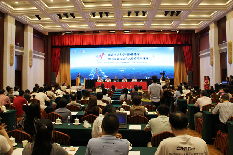 VMDT2017：打破藩篱  搭建开放、包容、前沿的多学科交流平台