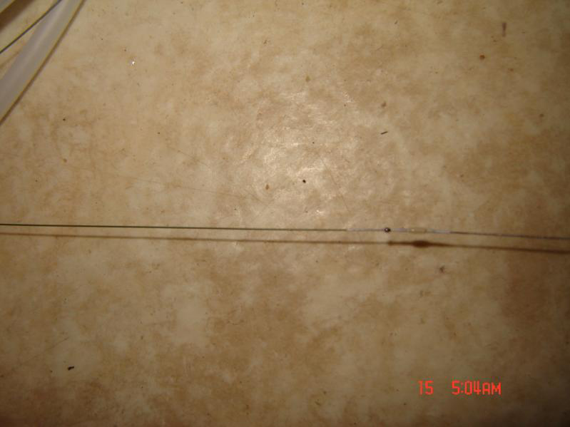 韩志华2007年德国进修日记(十)