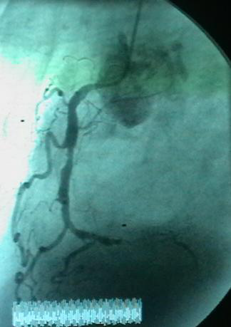 韩志华2007年德国进修日记(十)