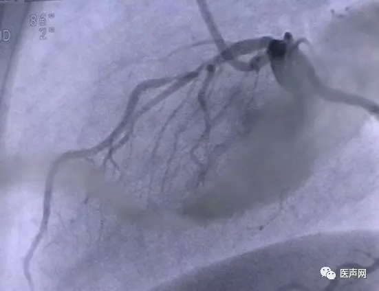 韩志华2007年德国进修日记(十二)