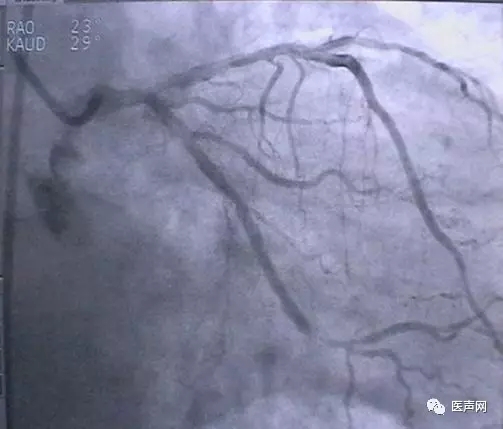 韩志华2007年德国进修日记(十二)