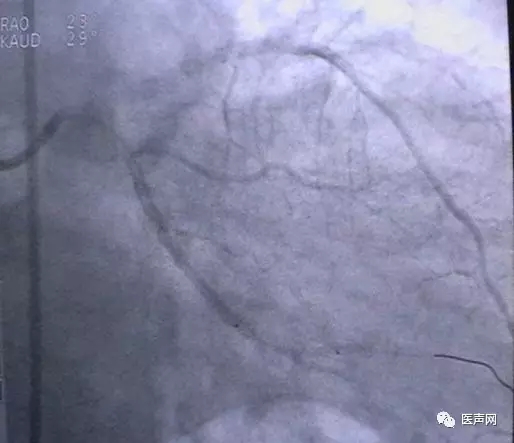 韩志华2007年德国进修日记(十二)