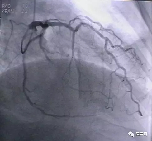 韩志华2007年德国进修日记(十二)