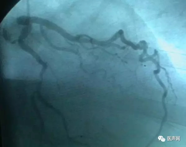 韩志华2007年德国进修日记(十二)