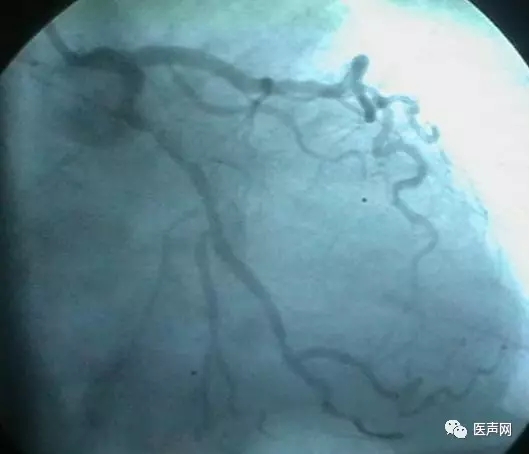 韩志华2007年德国进修日记(十二)