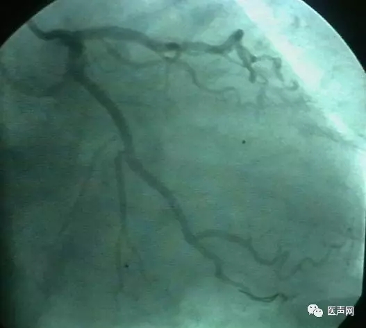 韩志华2007年德国进修日记(十二)