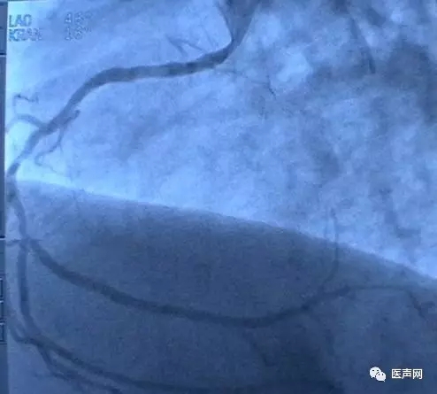 韩志华2007年德国进修日记(十二)