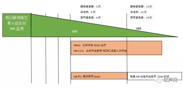 欧洲心律协会：新型口服抗凝药物在非瓣膜房颤患者应用指南更新