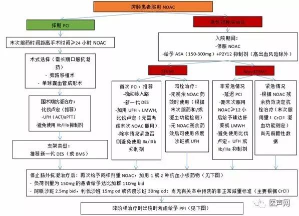 欧洲心律协会：新型口服抗凝药物在非瓣膜房颤患者应用指南更新