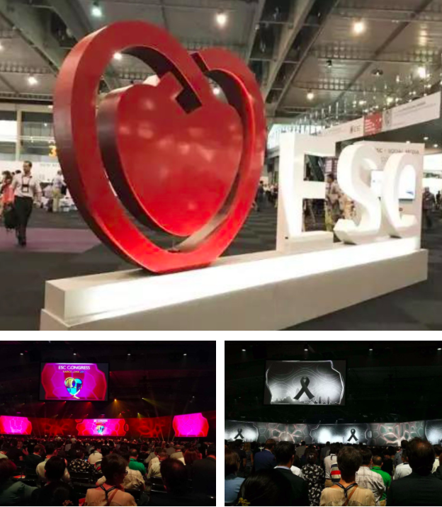 ESC2017|刘启明:ESC速递