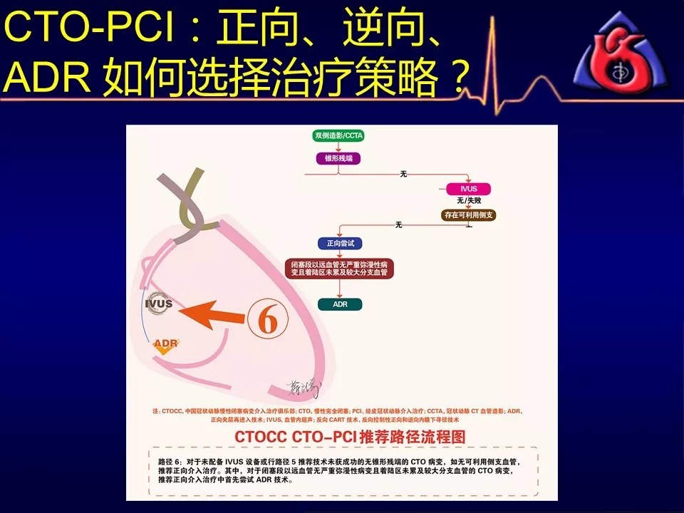 13.webp.jpg