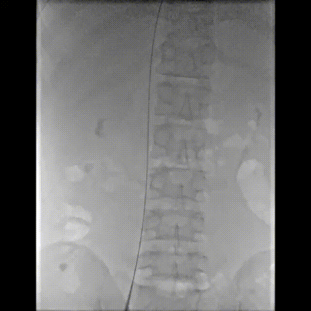 微信图片_20211208105058.gif