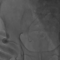 8.gif