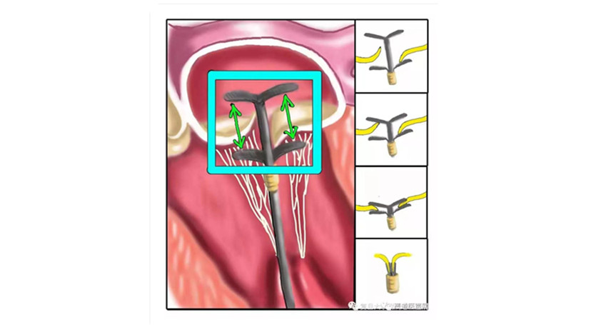WeChat 圖片_20190722095303_副本.jpg
