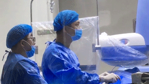 13.gif