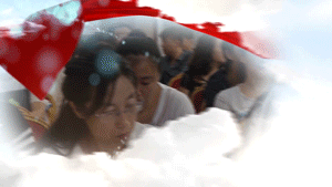 17.gif