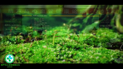 28.gif