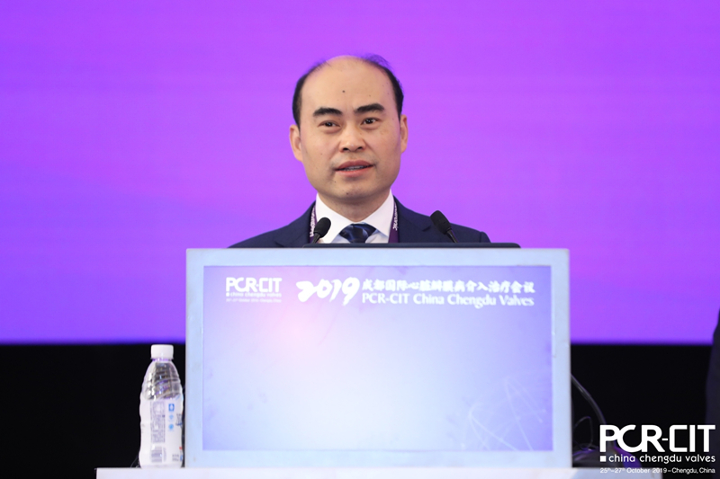 陈茂教授主持_副本.jpg