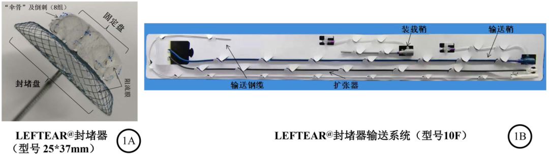微信图片_20200628094736.png