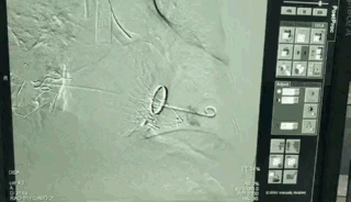 5.gif