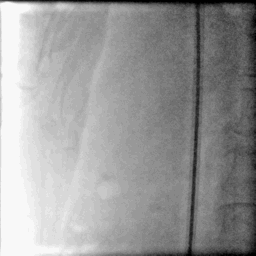 5.gif