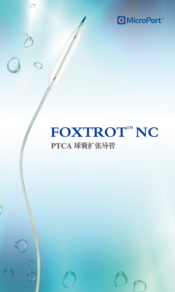 FOXTROT NC-球囊.jpg