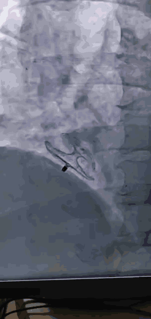 微信图片_20201130092852.gif