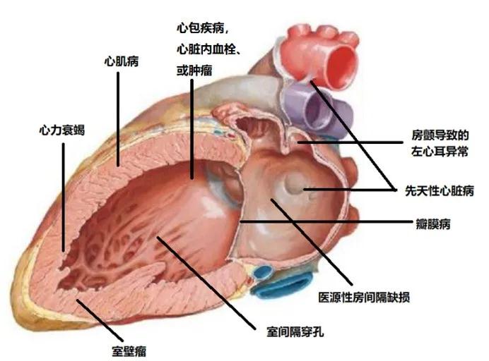 微信图片_20210129172824.jpg