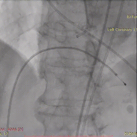 28.gif