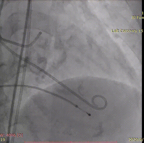 29.gif
