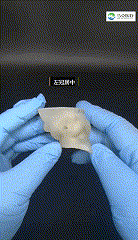 image021 00_00_00-00_00_30.gif