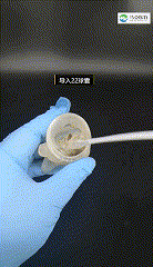 image020 00_00_00-00_00_30.gif