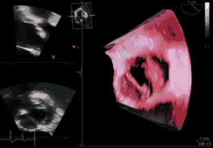 微信图片_20211018174536.gif