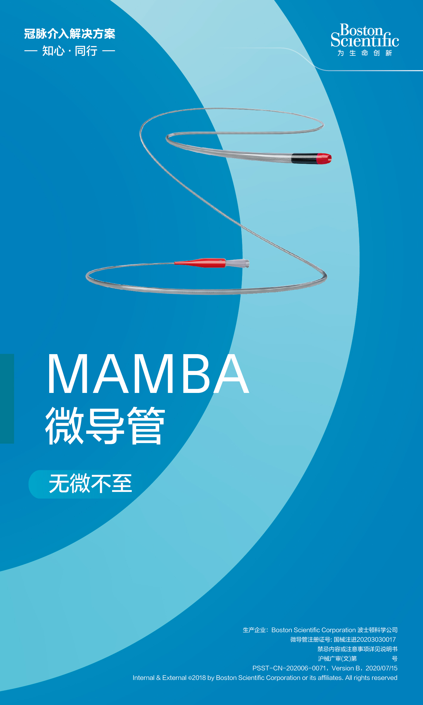 5.MAMBA 微导管 .jpg