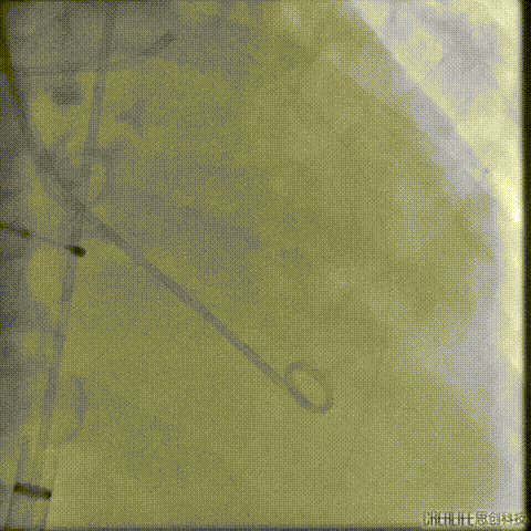 微信图片_20211213110332.gif