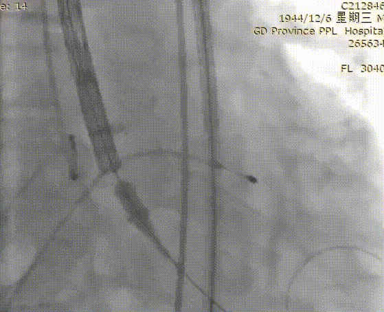 微信图片_20211220113940.gif