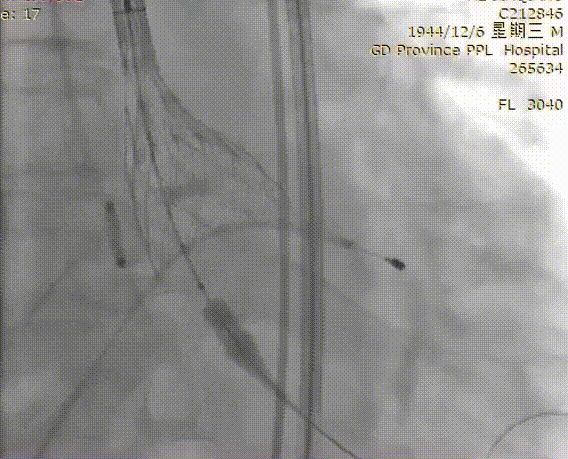 微信图片_20211220113945.gif